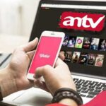 ANTV Tidak Ada di Aplikasi Vidio
