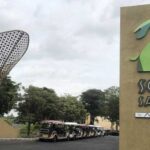 Harga Tiket Masuk Solo Safari Zoo Reguler & Premium